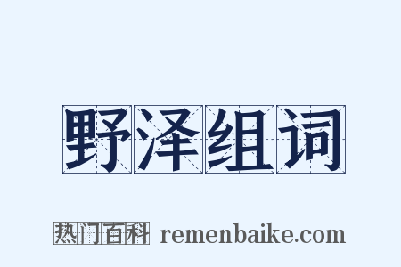 野泽组词是什么意思的图片